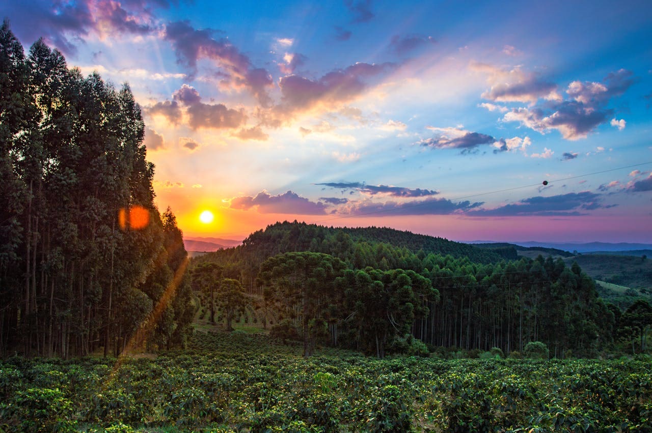 Belezas Naturais de Minas Gerais - Belezas Naturais