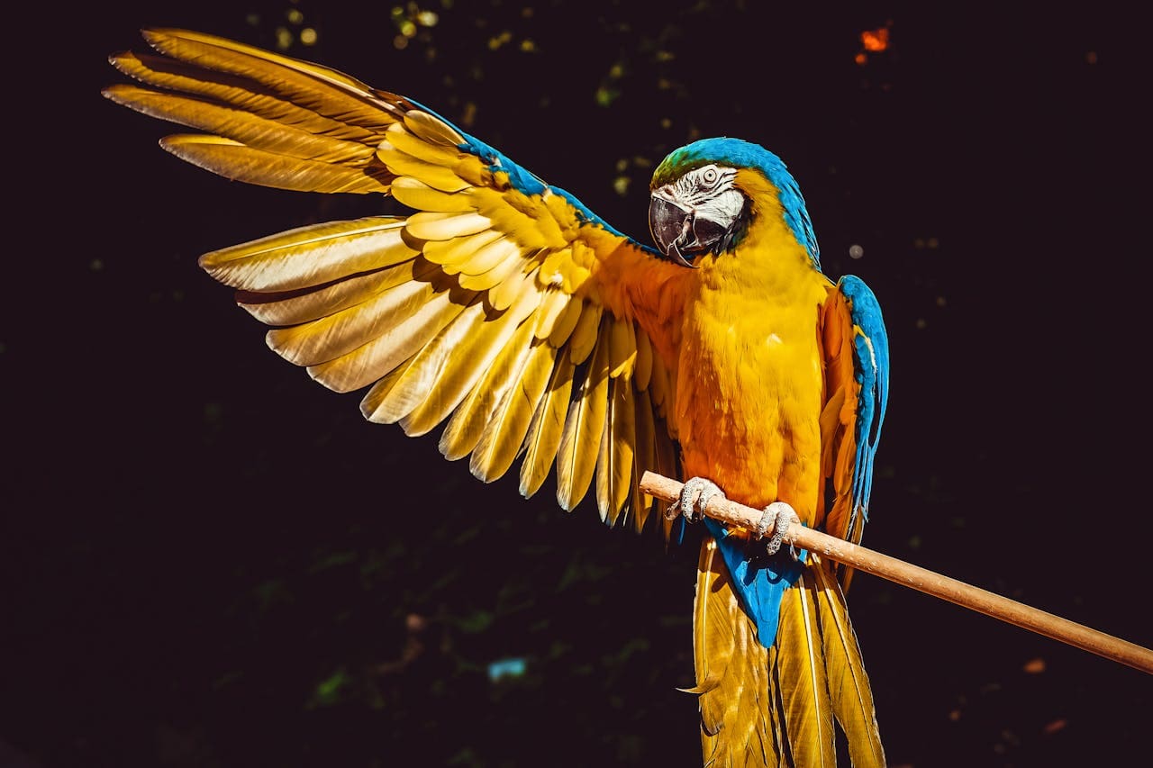Belezas do Amazonas - Belezas Naturais Oficial